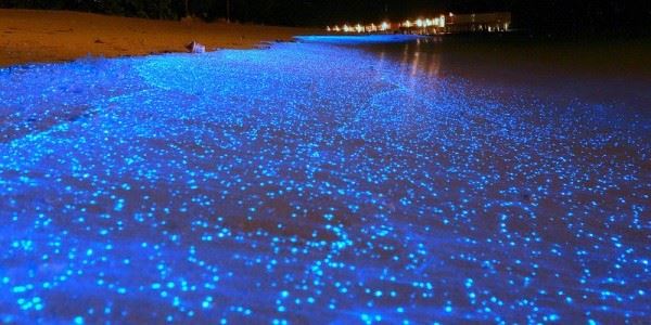 马尔代夫 sea of stars