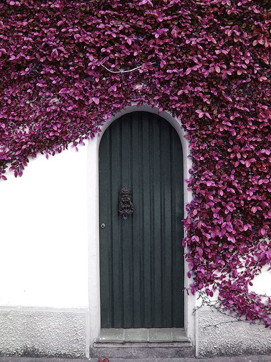 amazing-old-vintage-doors-photography-5