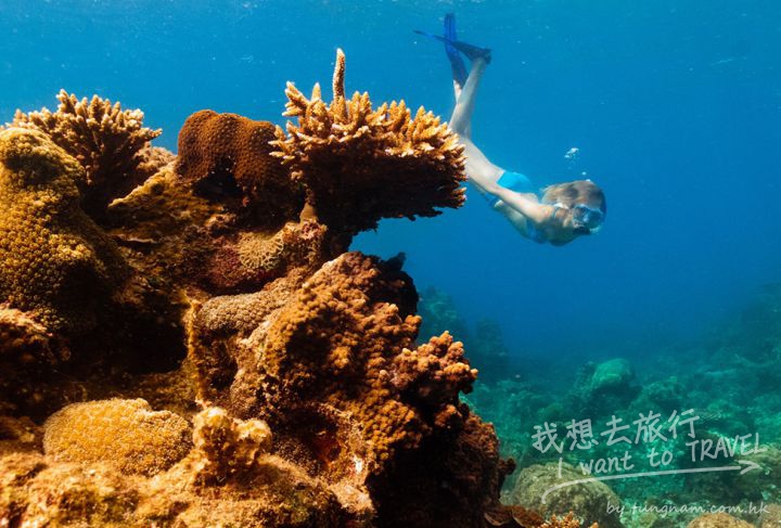 975x660_07_diving_in_con_dao