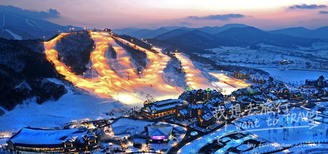 alpensia-night-ski