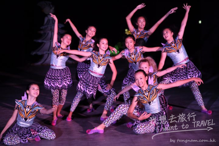 Night Parade Preview 2015 (4)