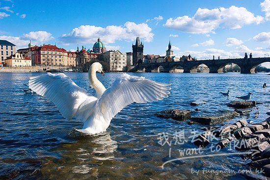 prague9