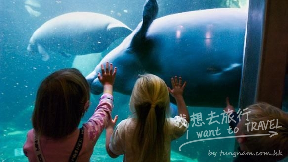 Odense ZOO3