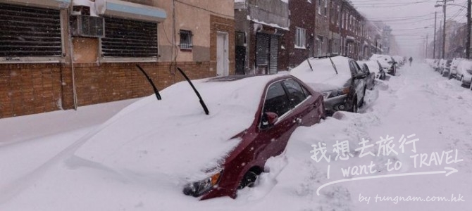 加拿大雪暴 Reggie 加拿大雪暴 Reggie