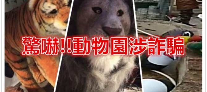 海南島動物園涉詐騙!! 海南島動物園涉詐騙!!