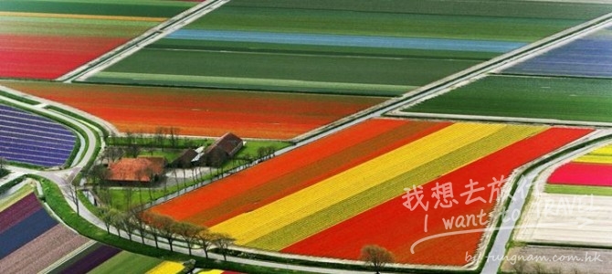 世界最美的花海