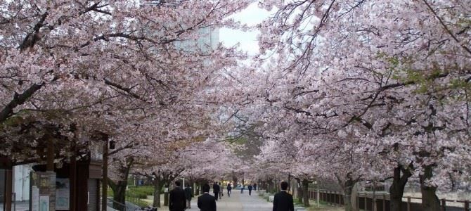 帶你走進真實的日本，所有人都驚呆了！