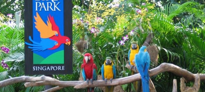 裕廊飛禽公園 Jurong Bird Park