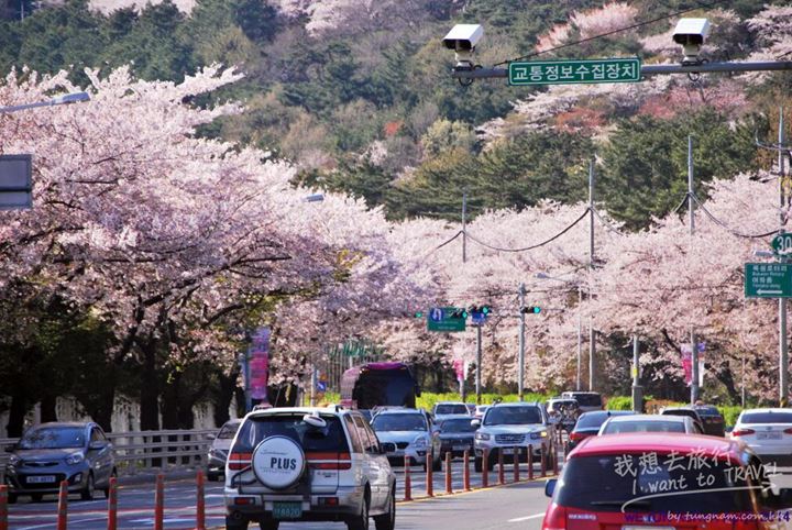 長福山公園2