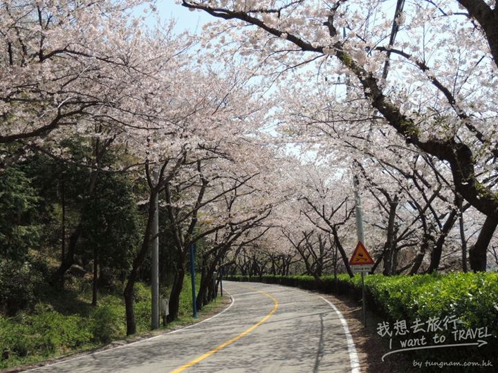 長福山公園3
