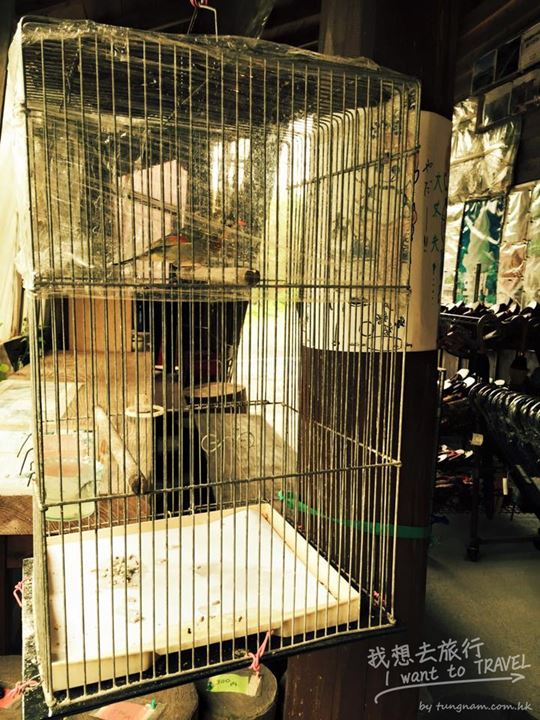 10989314_10153195115427367_3866428251855419528_n