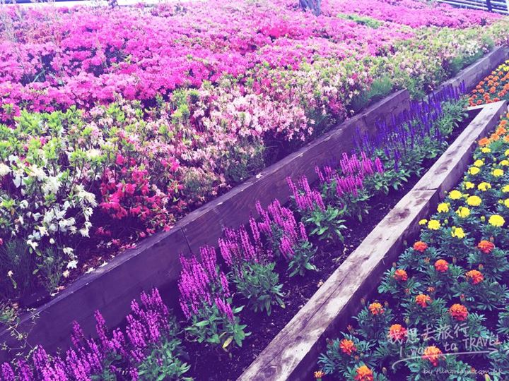 11010565_10153195114722367_3371001129112494858_n