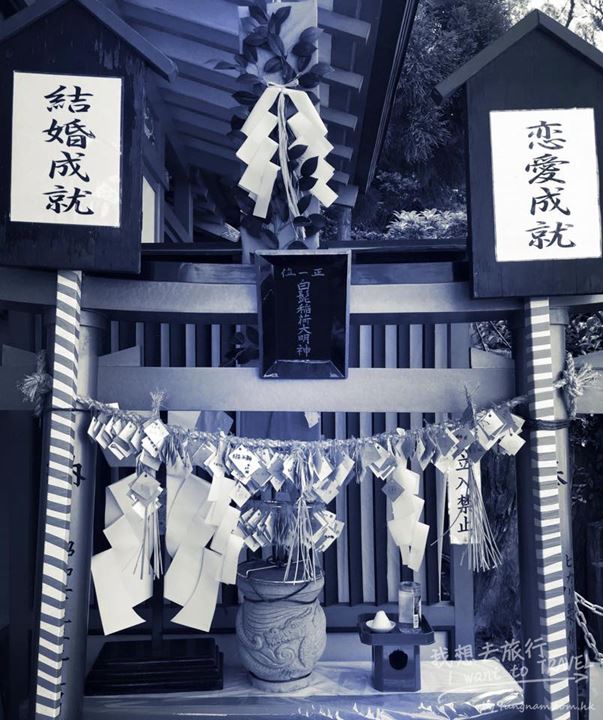 11150771_10153195121392367_111914565974314547_n