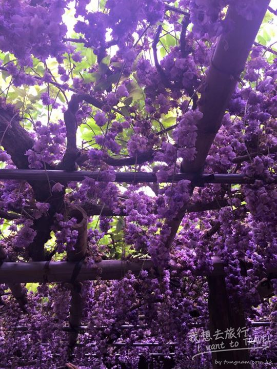 11218179_10153195625312367_2454101242751127639_n