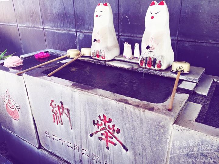 11261847_10153195121267367_7695538243095174488_n