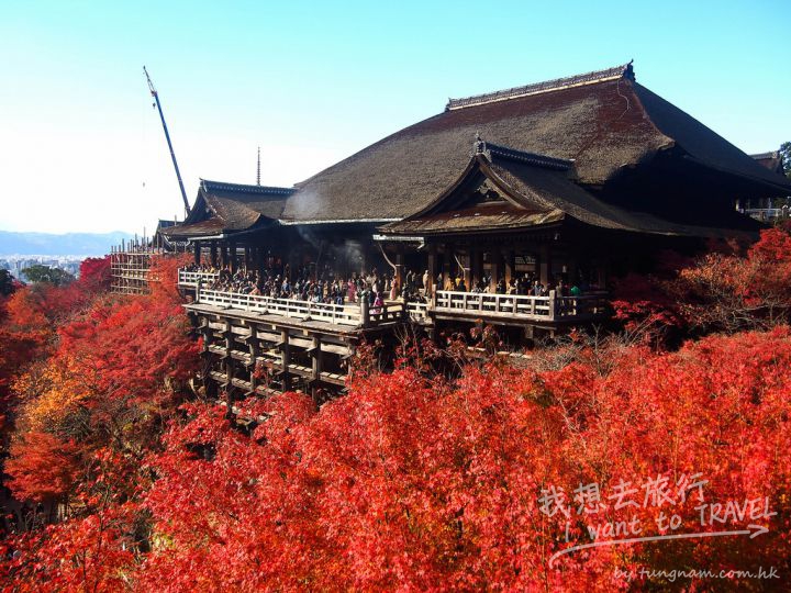 清水寺賞楓