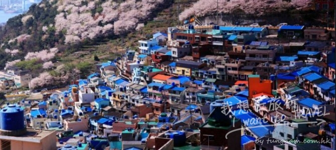 【旅遊。有感】甘川洞文化村：從歷史學習知足常樂。