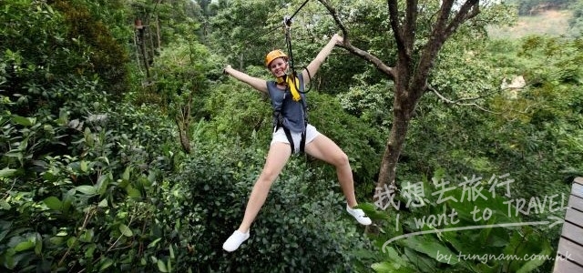 可以像泰山般樹過樹…消遙自在地與大自然溶為一體…