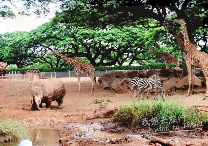 jozizoo