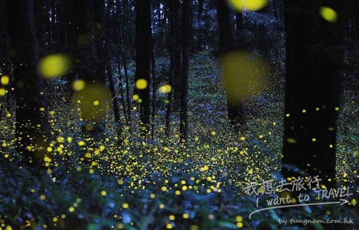 027127c4-969a-43cf-bd18-a73cb1a13cfe