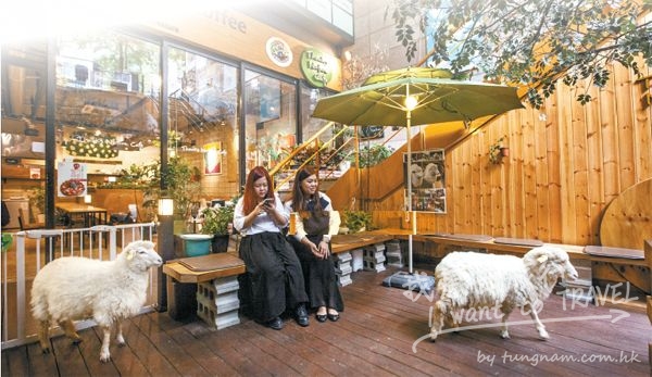 fd_seoul11
