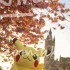 Pika Glasgow