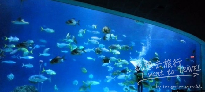 墾丁驚奇之旅 / 鵝鑾鼻燈塔 / 東海岸 / 恆春出火