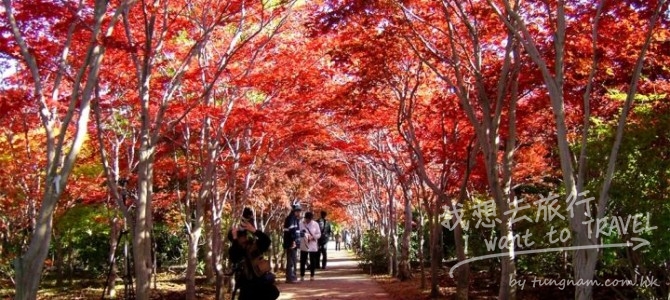 【 紅葉 預報】2016日本賞楓景點推介