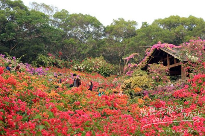 653732-e36be4ff08502acc