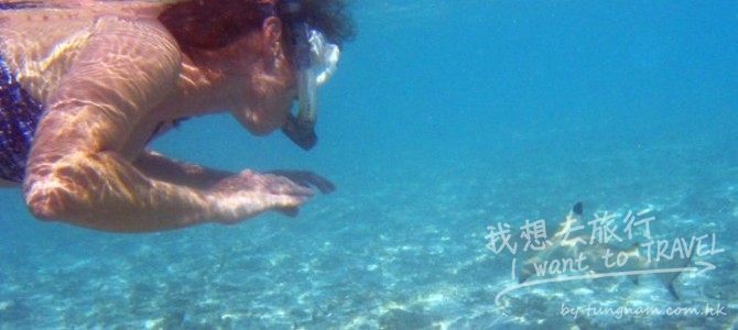 喜歡潛水嘅朋友真喺要小心…動物嘅攻擊唔喺講笑