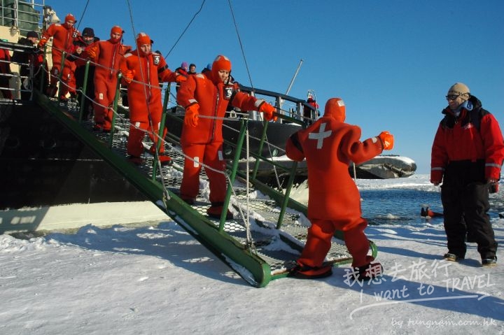 swimmers_on_the_ice