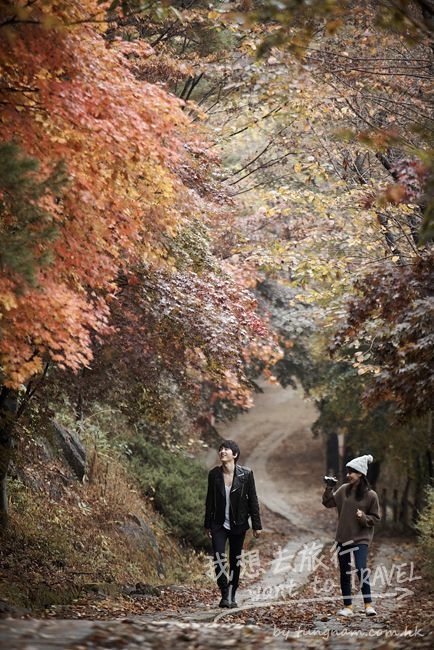 1322205784-3395871648