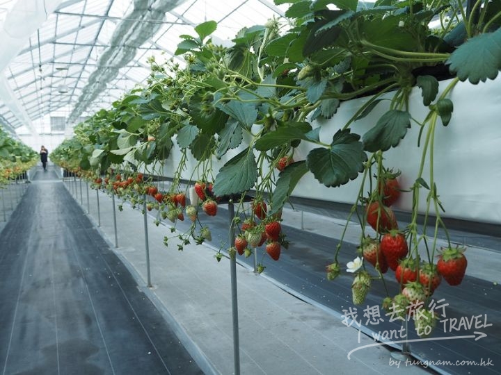 1423549662-p1310479jp-o