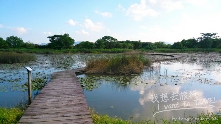 1f068472c1cb4b67bef8322d4714cacc