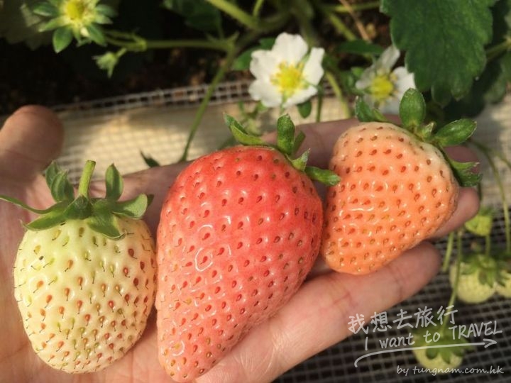 bdcfdf4412d04c68a07216a60665d997_ll