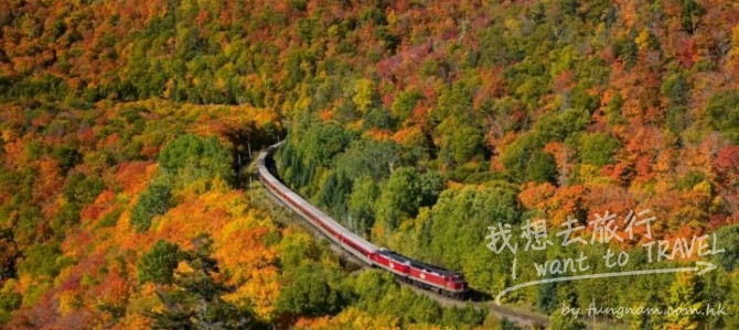 自駕游詳細攻略：加拿大安省八大賞楓路線
