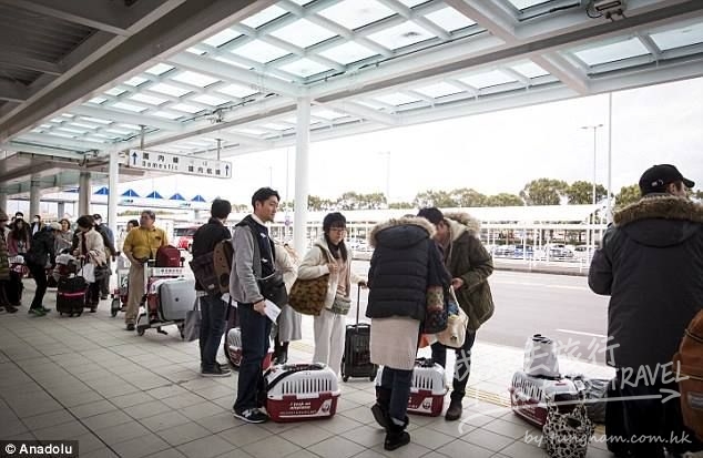 16473448_1239545206130114_554471115589692437_n