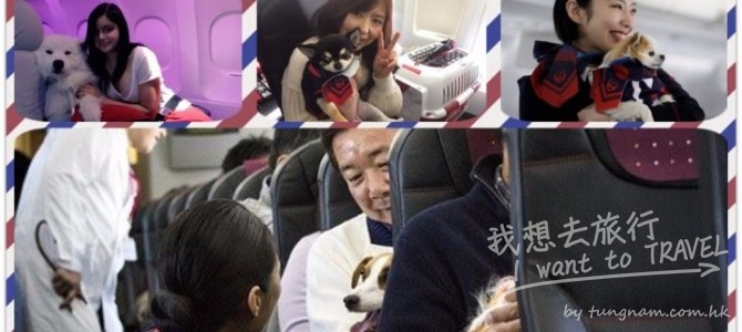 日本航空(JAL)首架寵物包機啟航, 同你嘅至愛一齊出遊
