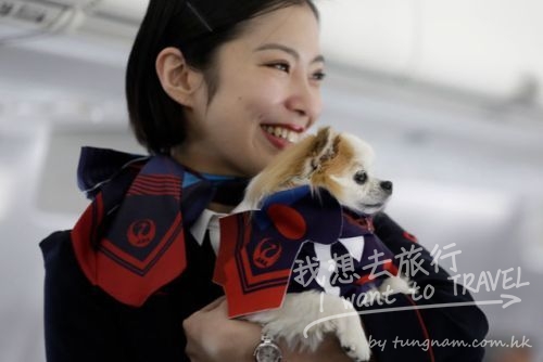 tumblr_inline_okyllgw0ID1t92yk3_1280.jpg.cf