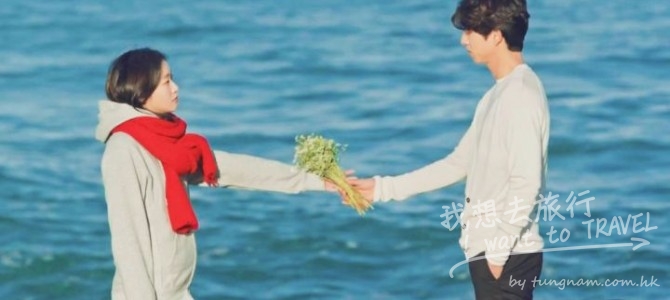 蕎麥花的花語是什麼？…你記得嗎? (金句篇)