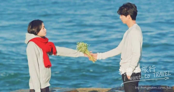 蕎麥花的花語是什麼？…你記得嗎? (金句篇) | 我想去旅行I want to ...