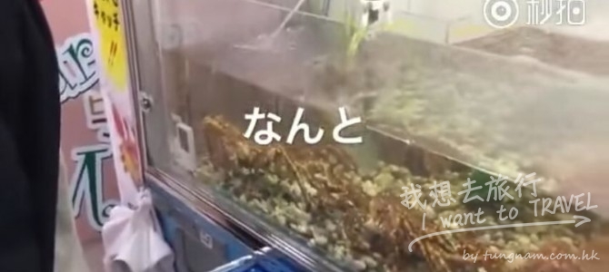 識玩一定係用夾公仔機嚟夾蟹