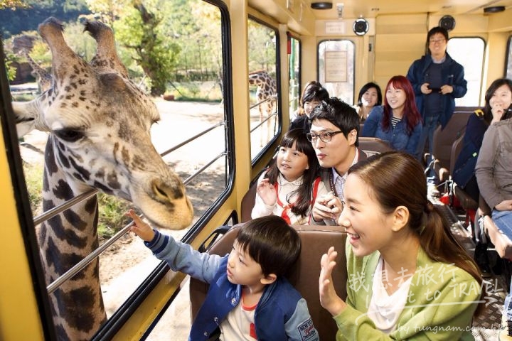 everzoo2