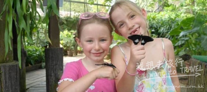 蝴蝶公園與昆蟲王國 Butterfly Park & Insect Kingdom