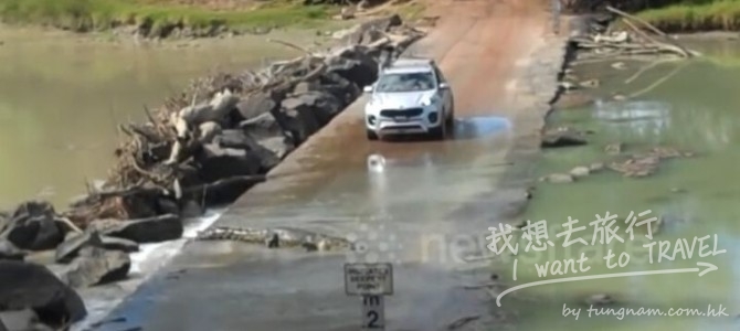 當你在自駕遊時遇上咁嘅狀況…