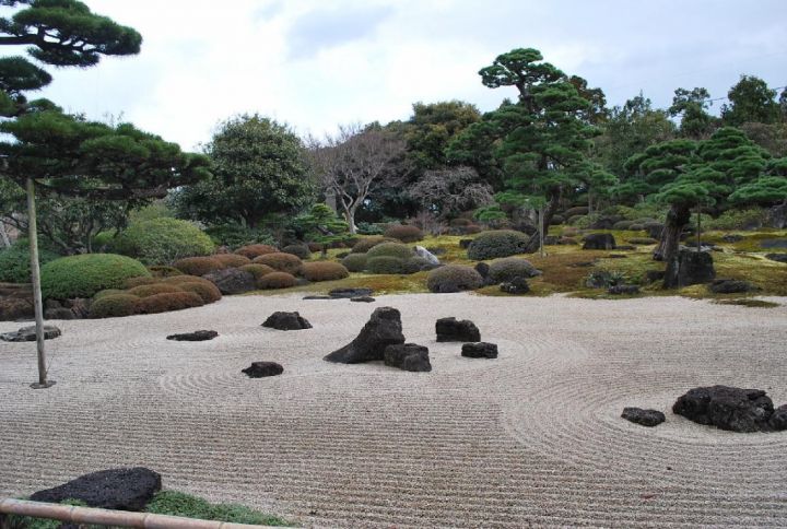 126511443387616213372_DSC_5491s