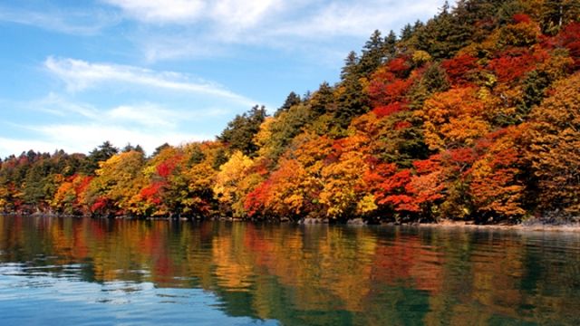 北海道的紅葉