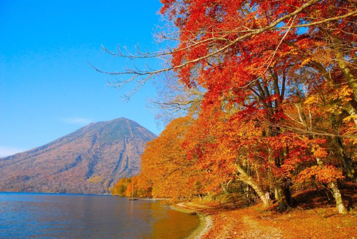 日光中禪寺湖湖畔楓葉