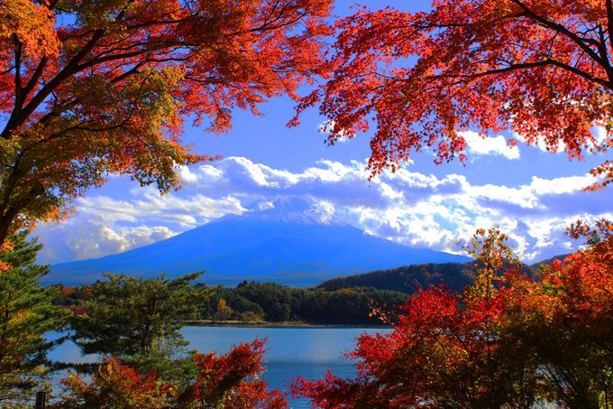 都心與近郊的紅葉美景